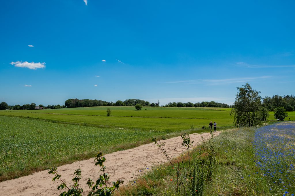 Wandelen in Montferland